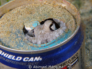 Protect our seas, the trash wastebasket by Abimael Márquez 
